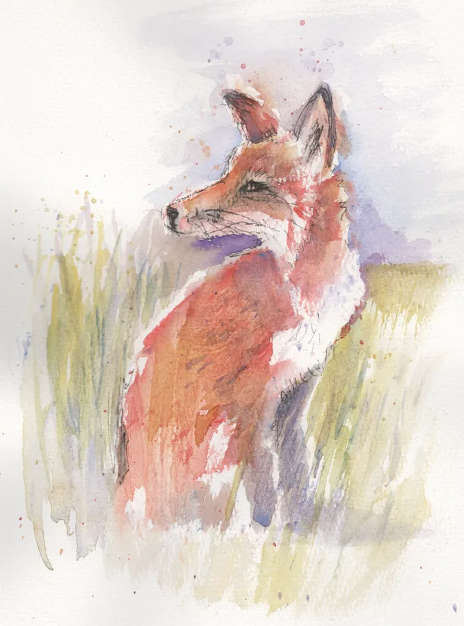 A watercolour painting of a fox