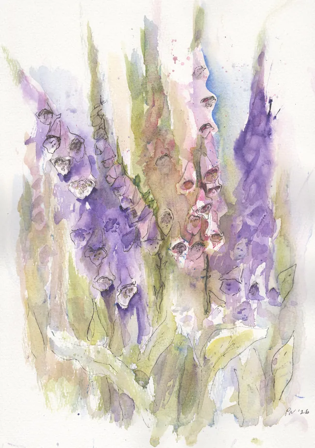 A watercolour painting of flowers